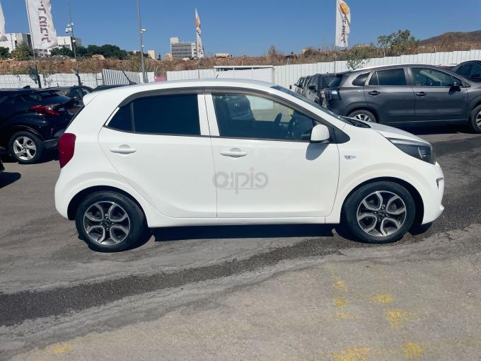 קיה פיקנטו