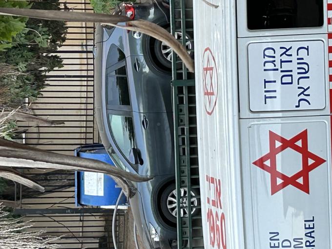 מזדה