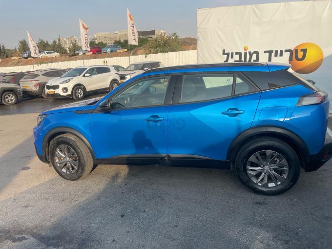 פיג'ו 2008