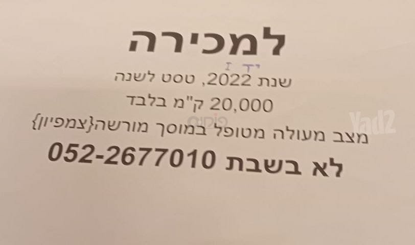 סיאט ארונה