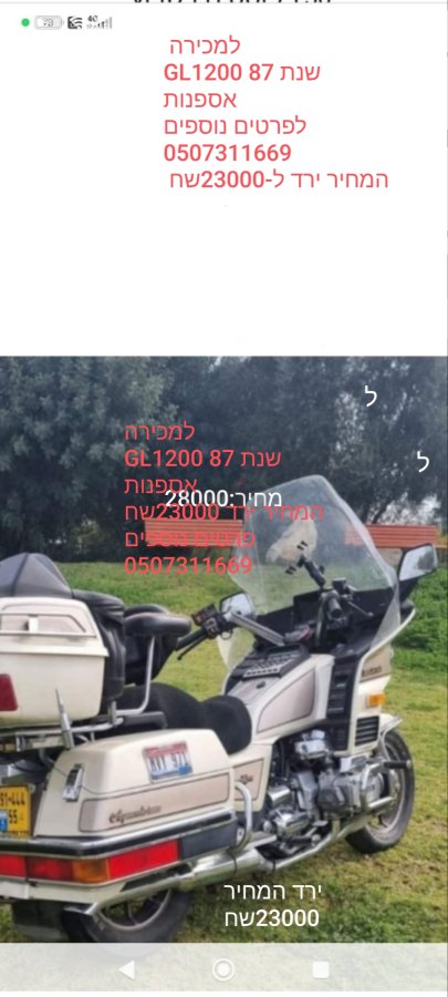 הונדה גולדווינג 2026