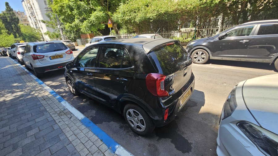 קיה פיקנטו תמונה 14