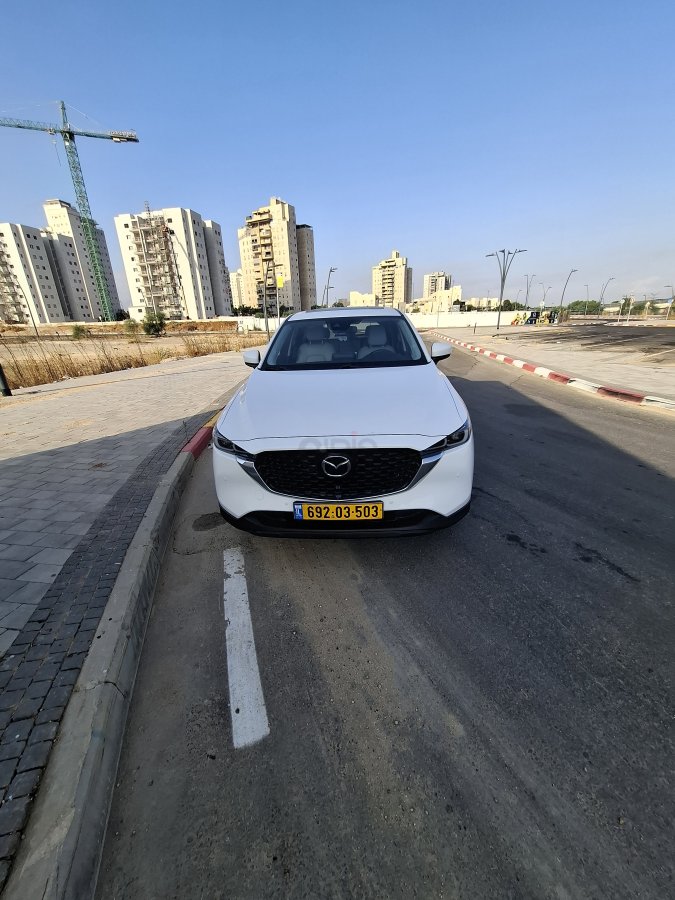מזדה