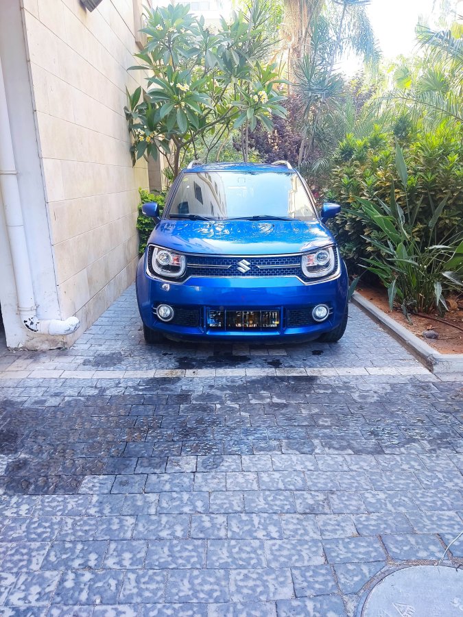 סוזוקי איגניס תמונה 2